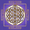 Blume des Lebens | YANTRA