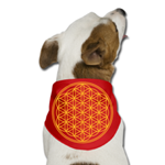 Hunde-Bandana