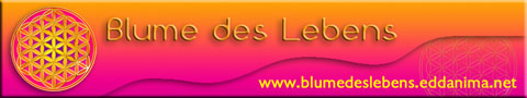 Blume des Lebens Banner